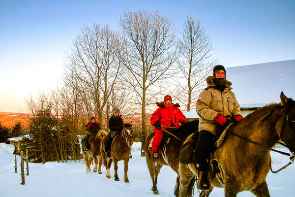 Découverte du Québec à cheval