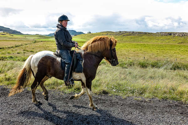 Découverte du Sud de l'Islande à cheval