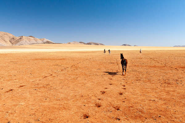 Désert du Namib à cheval