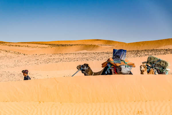 Désert marocain à cheval