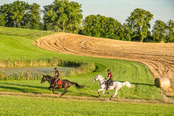 Deux cavaliers au galop dans les champs en Pologne