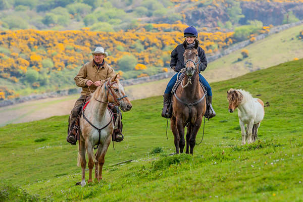 Deux cavaliers dans les paysages du Devon (Dartmoor)