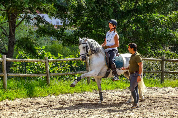 Dressage au Portugal
