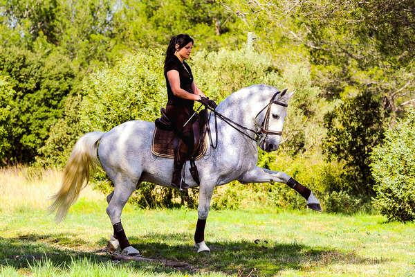 Dressage avec Brigitte Bonnot