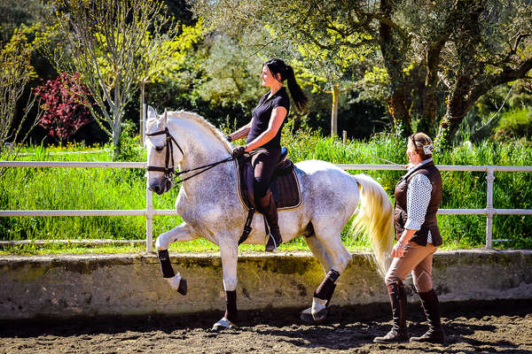 Dressage en Provence