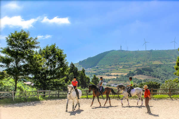 Dressage et Haute Ecole au Portugal