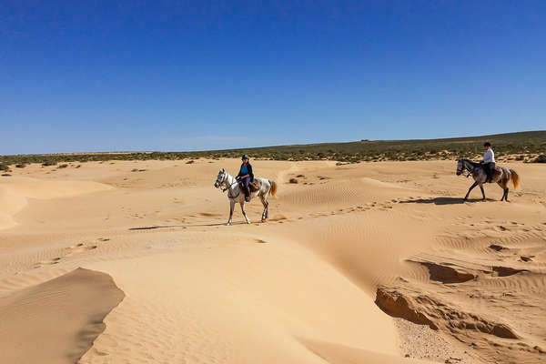 Dunes à cheval au Maroc
