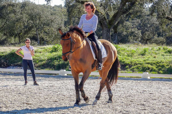 Ecole de dressage au Portugal