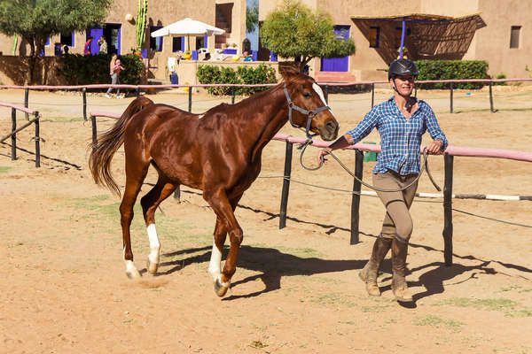 Endurance au Maroc