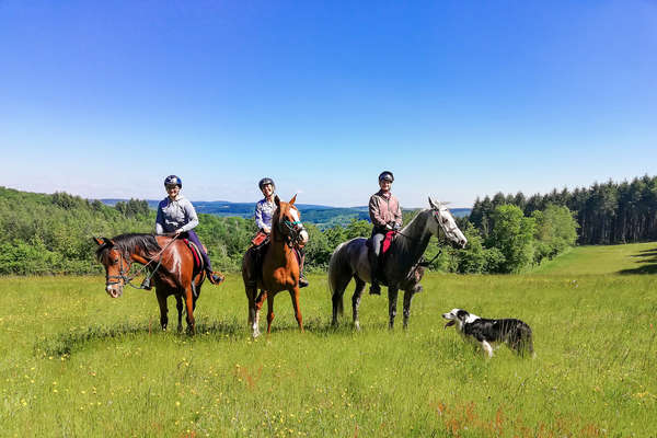 Endurance de Chatillon