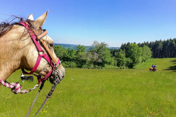 Endurance de Chatillon