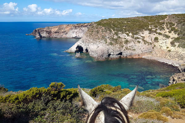 Entre les oreilles de mon cheval