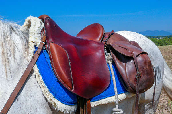 Equipement d'un cheval en Catalogne