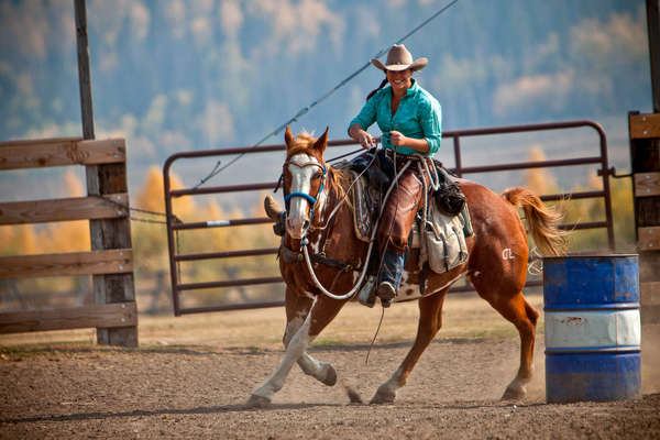 Equitation western chez les cowboys