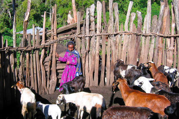 Ethiopie à cheval