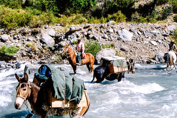 Expédition à cheval en Argentine dans la région de Salta