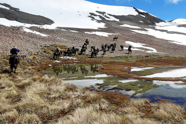 Randonnée à cheval dans l'île du Sud