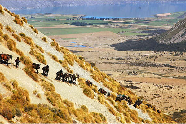 Expédition à cheval en Nouvelle-Zélande
