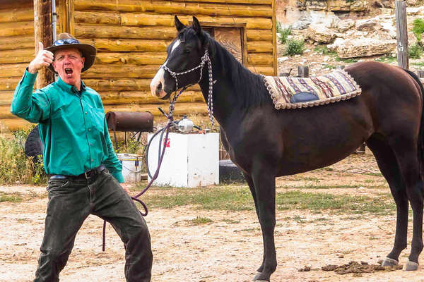 Expérience en ranch au Montana