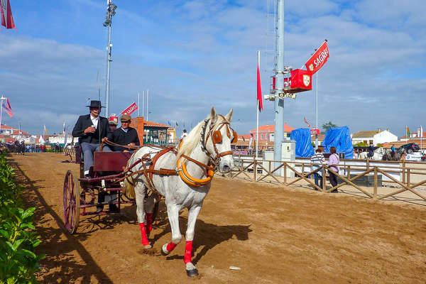 Feira de Golega au Portugal