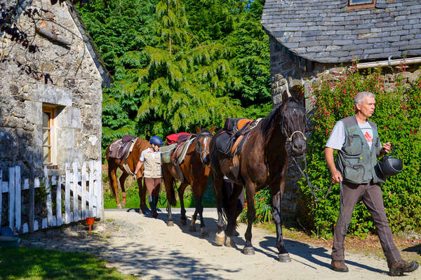 Ferme équestre en Bretagne