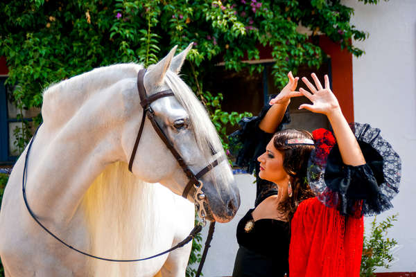 Flamenco et cheval en Andalousie