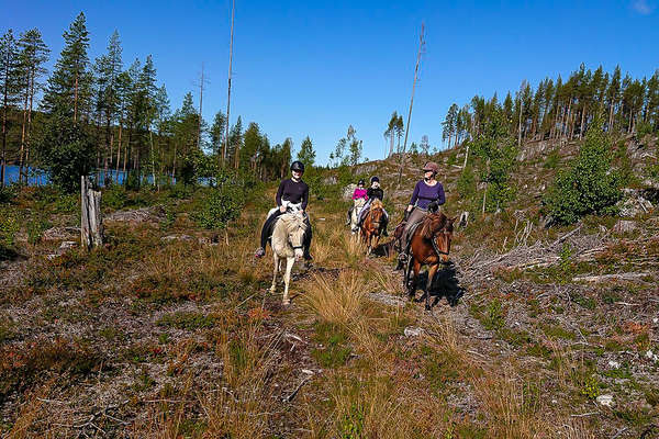 Forêts de Laponie à cheval