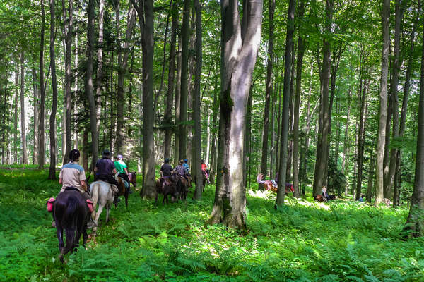 Forêts et vallées de Pologne à cheval