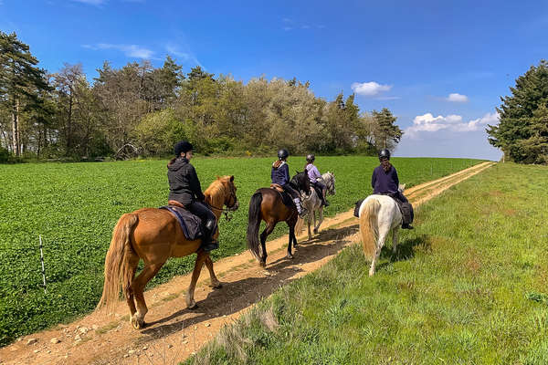 FRANCE A CHEVAL - Randonnée équestre, week-end à cheval, stages, randos  juniors - Par Randocheval