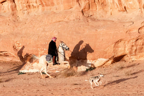 galop à cheval dans le wadi rum