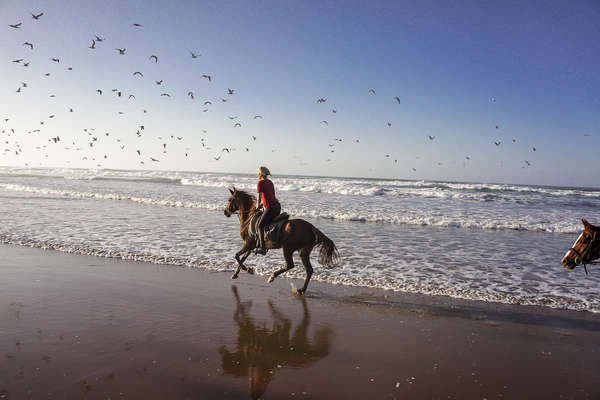 Galop au Maroc