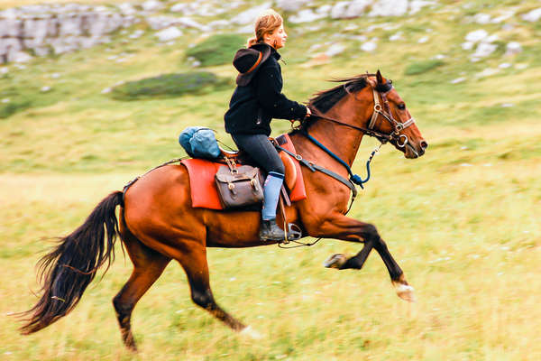 Galop dans le Vercors