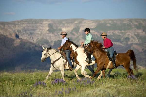 Galop dans le Wyoming