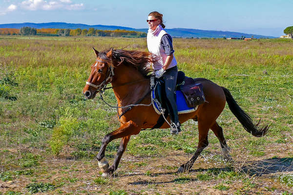Galop dans les Pyrénées espagnoles