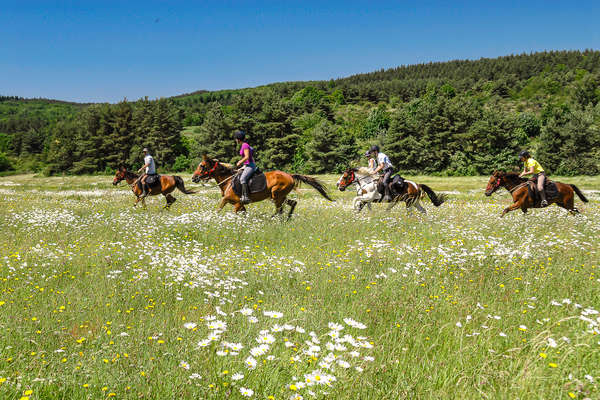 Galop en Ardèche