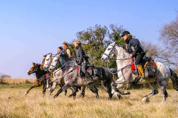 Galop en Catalogne