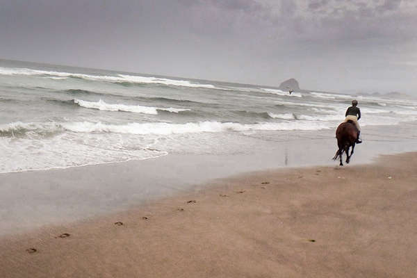 Galop en Oregon