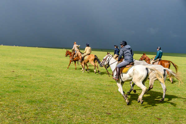 Galop en Tanzanie