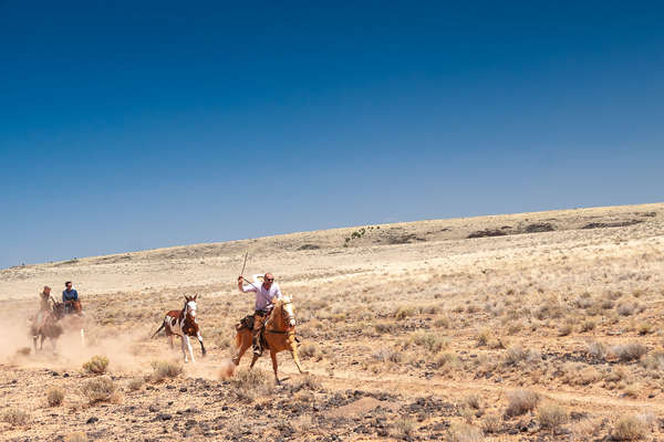 Galop en Utah