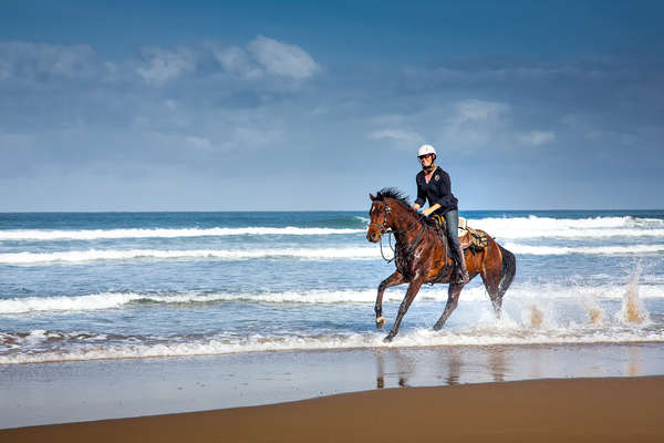 Galop sur la Wild Coast