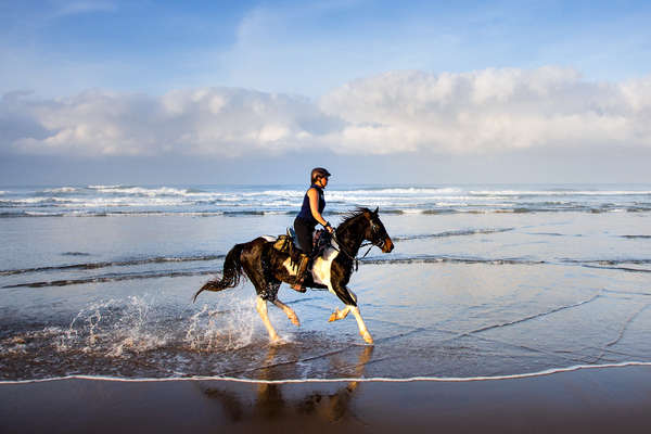 Galop sur la Wild Coast