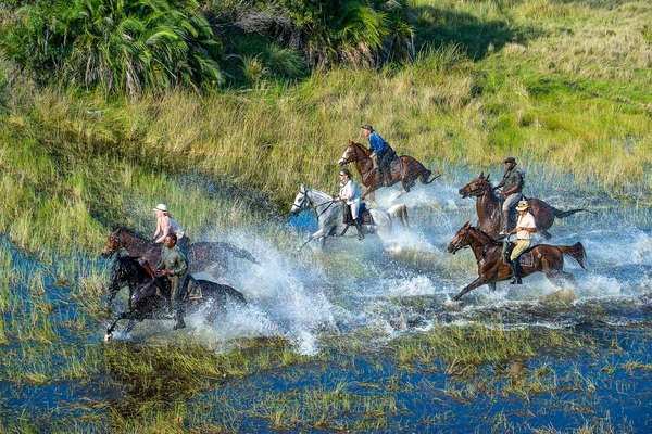 Galops  à cheval dans les plaines inondées du delta de l'Okavango