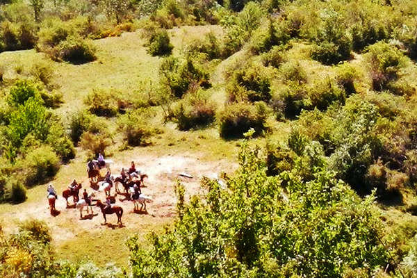 Haute provence et cavaliers