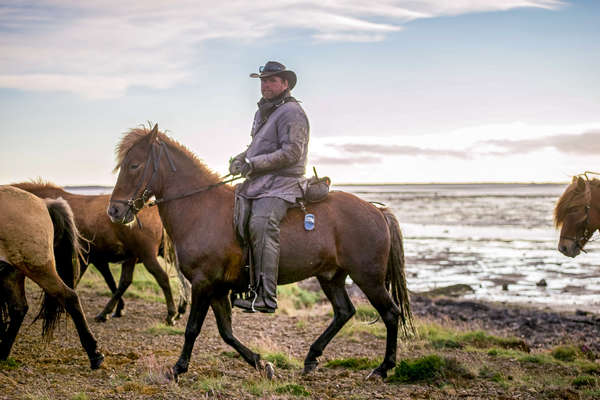 Guide à cheval en Islande