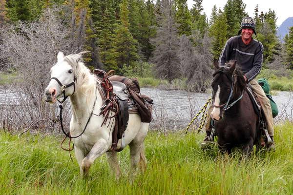Guide équestre dans le Yukon