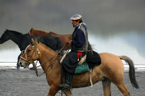 Gaucho chilien et cheval criollo