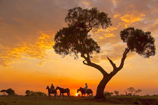 Hwange à cheval