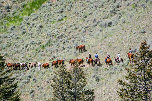 Idaho à cheval