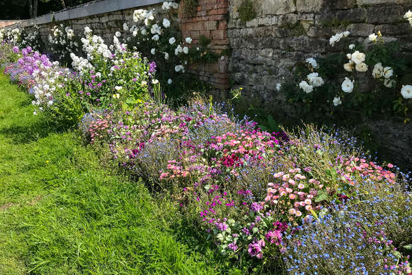 Jardin fleuri du chateau de Ternay