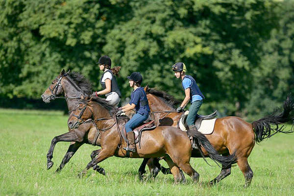 Dans la plaine au galop - Irlande